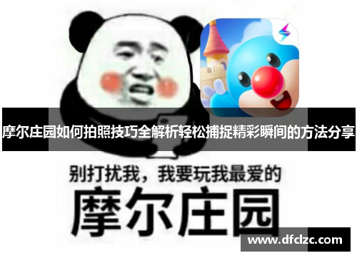 摩尔庄园如何拍照技巧全解析轻松捕捉精彩瞬间的方法分享
