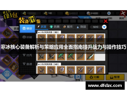 寒冰核心装备解析与策略应用全面指南提升战力与操作技巧